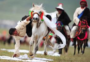 horse racing on shoton festival